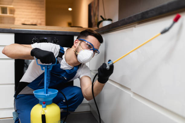 Best Bed Bug Extermination  in Central Park, WA