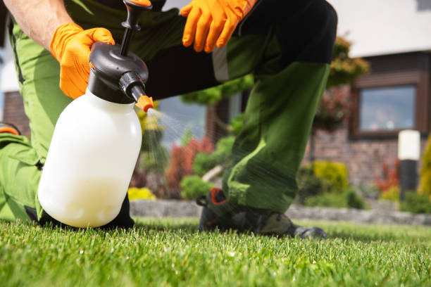 Best Mosquito Control Services  in Central Park, WA