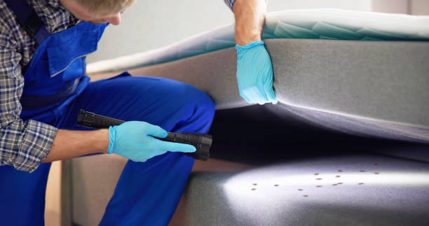 Best Pest Prevention Services  in Central Park, WA