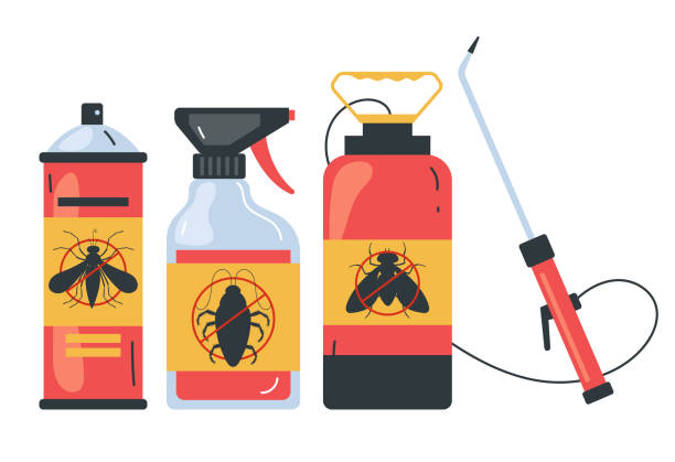 Wasp Removal Services in Central Park, WA