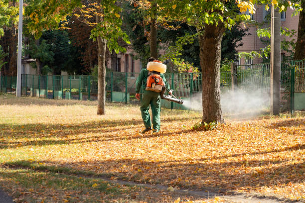Best Insect Control  in Central Park, WA